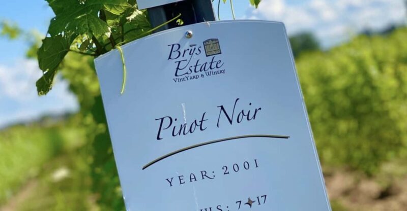 Designated Driver For Wine Tours - Traverse City - Key Points