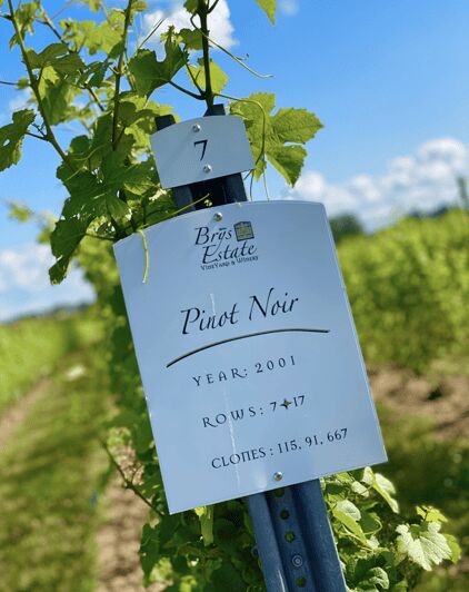Designated Driver For Wine Tours - Traverse City - The Breakdown of the Itinerary