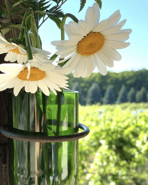 Designated Driver For Wine Tours - Traverse City - Who Should Book This Tour?