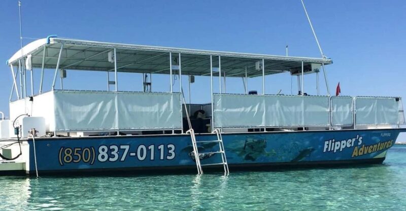 Destin: Crab Island Catamaran Tour with Dolphin Watching - Authentic Insights from Reviews
