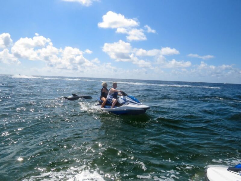 Destin: Crab Island Dolphin Watching Jet Ski Tour - An In-Depth Look at the Jet Ski Dolphin Tour