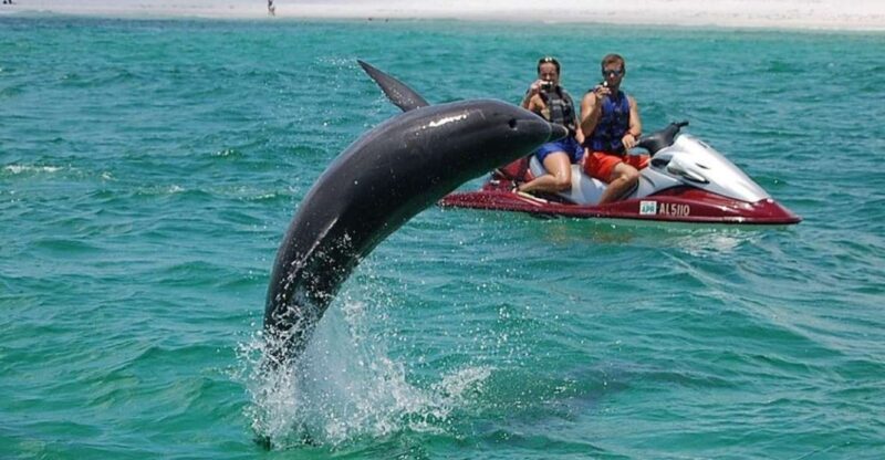 Destin: Crab Island Dolphin Watching Jet Ski Tour - The Sum Up
