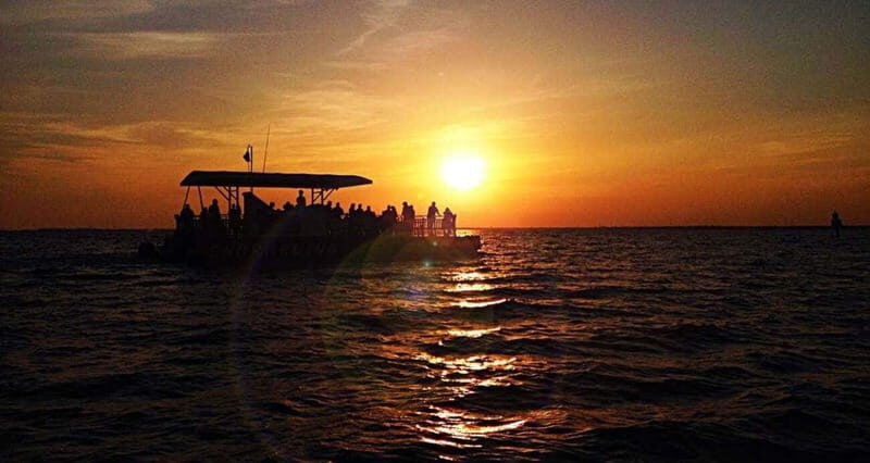 Destin: Dolphin Watching Cruise - Key Points