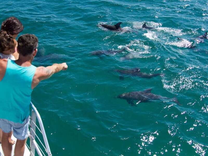 Destin: Dolphin Watching Cruise - Who Should Consider This Experience?