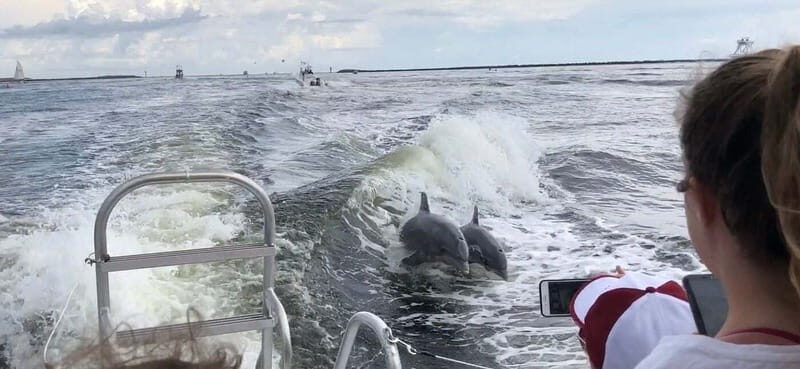 Destin: Dolphin Watching Cruise - The Sum Up