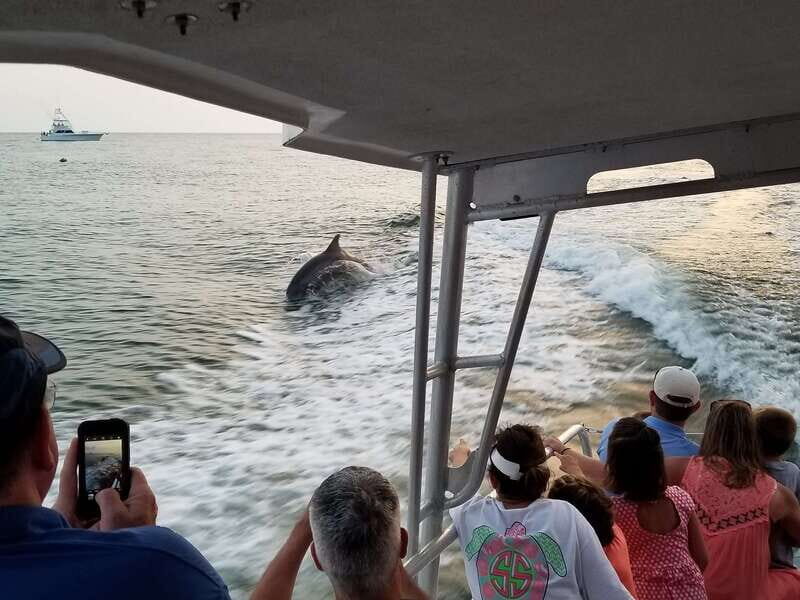 Destin: Dolphin Watching Cruise - FAQs