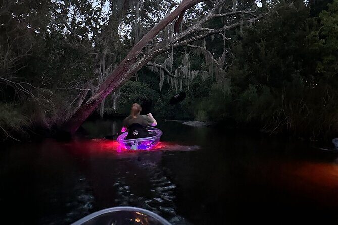 Destin FWB Full Moon Clear Kayak Tour - The Value of the Experience
