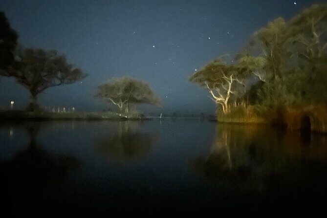Destin FWB Full Moon Clear Kayak Tour - Who will love this tour?