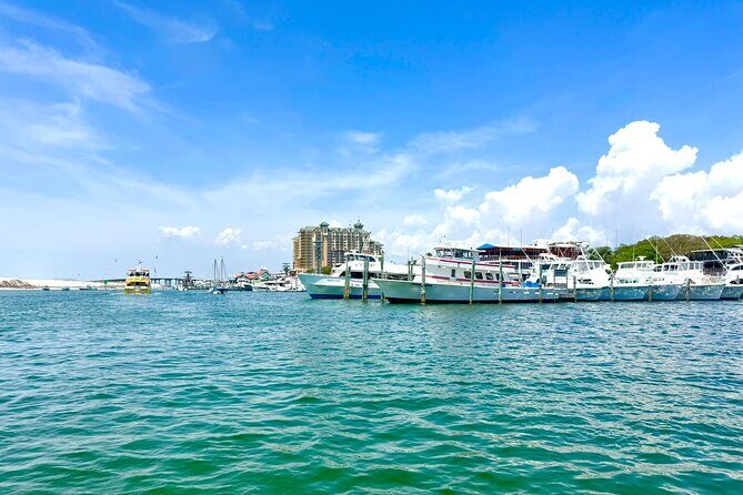 Destin Harbor Boat Ride and Dolphin Watching on the Hopper - Setting the Scene: What to Expect from the Tour