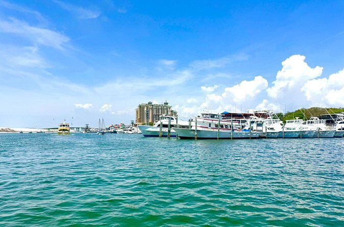 Destin Harbor Boat Ride and Dolphin Watching on the Hopper - Who Should Consider This Tour?