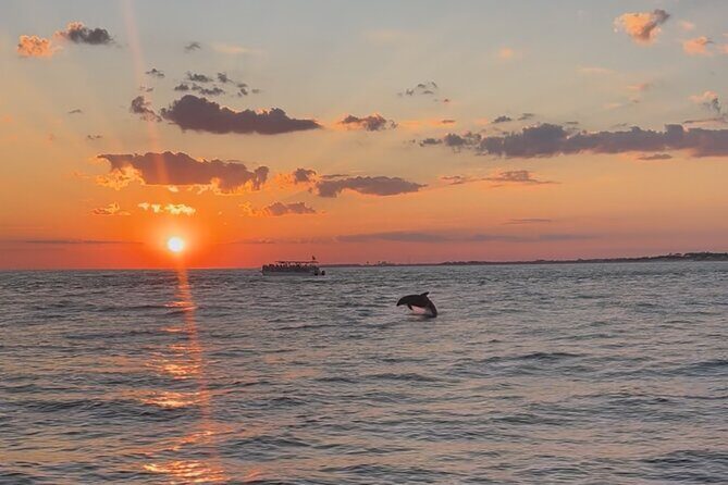 Destin Private Boat Tours Dolphin Crab Island Snorkel Sunset - A Deep Dive into the Experience