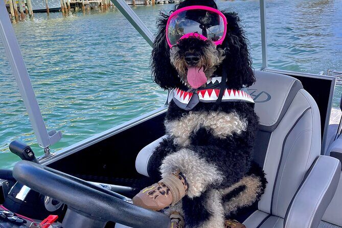 Destin- Private Chartered Slide Pontoon Boat-Up to 6 Guests - Practical Considerations and Tips