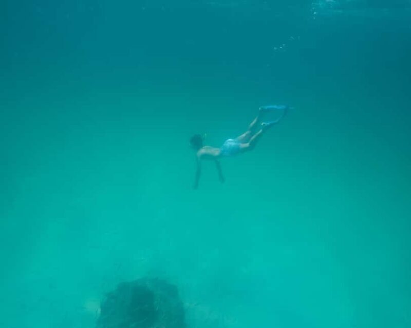 Destin: Reef Snorkeling Adventure - What We Think About the Price and Overall Value