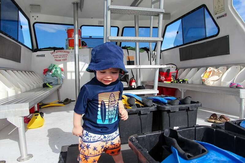 Destin: Snorkeling Cruise with 2 Stops and Dolphin Watching - Final Thoughts