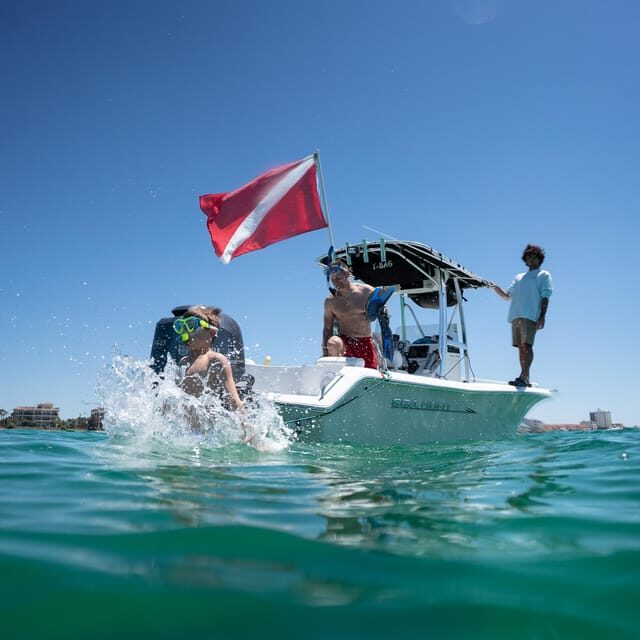 Destin: Snorkeling, Dolphins, and Crab Island - Key Points