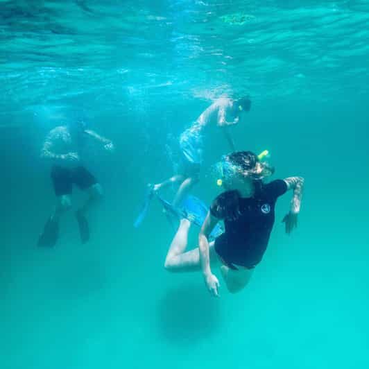 Destin: Snorkeling, Dolphins, and Crab Island - A Deep Dive into the Experience
