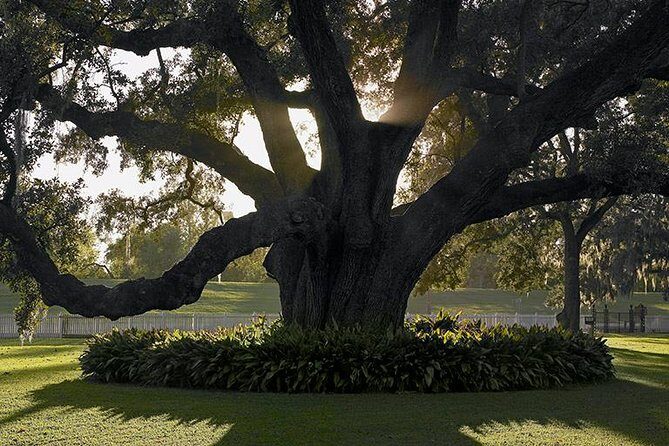 Destrehan Plantation Tour - Practical Tips