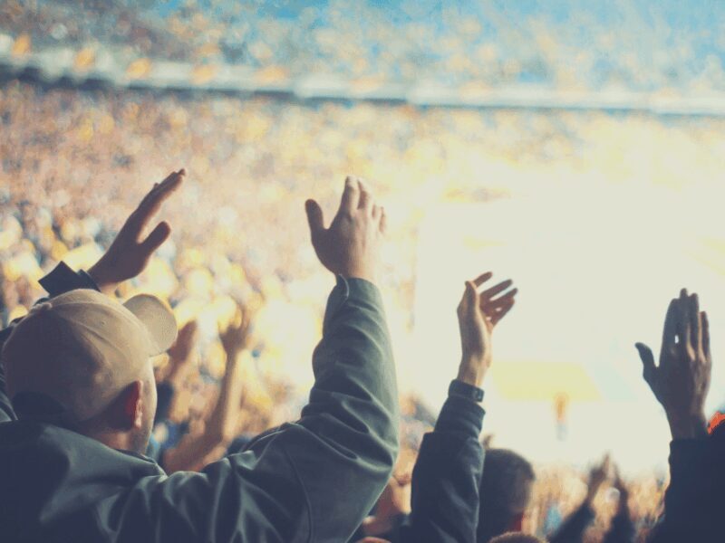 Detroit: Detroit Lions Football Game at Ford Field - Experience and Atmosphere at Ford Field