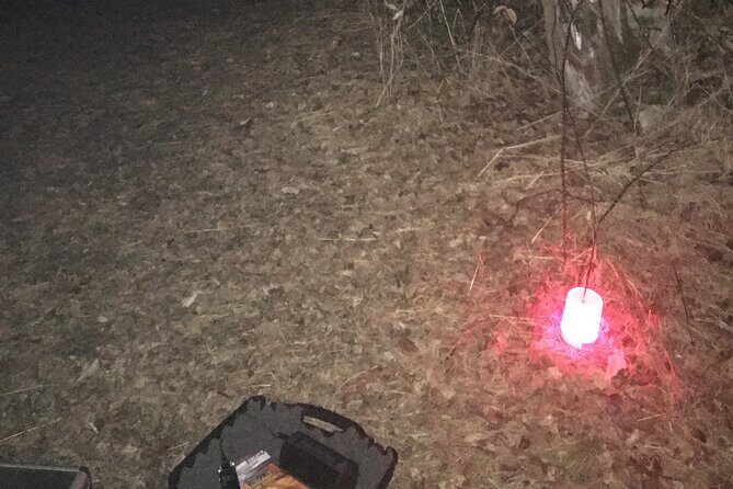Devil's Hour Investigation: Small Group St. Augustine - An In-Depth Look at the Devil’s Hour Investigation Tour