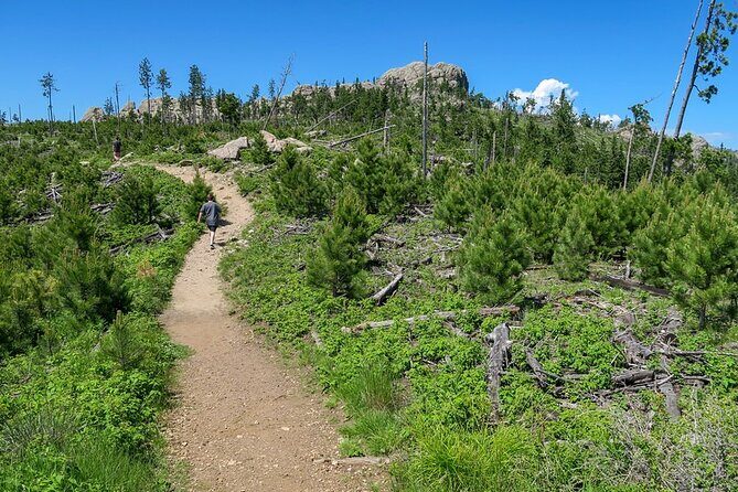 Devil's Tower - Deadwood - Spearfish Canyon Waterfalls + Picnic - How Price Reflects Value