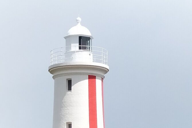 Devonport Area Wine and Chocolate Tour - The Sum Up