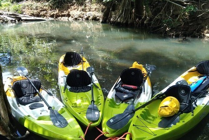DG Tours - Full-Day Private Tour Experience - Who Should Book This Tour?