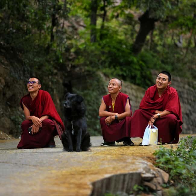 Dharamshala: 5-Day Guided City Tour with Triund Hike - Discovering Dharamshala and McLeod Ganj