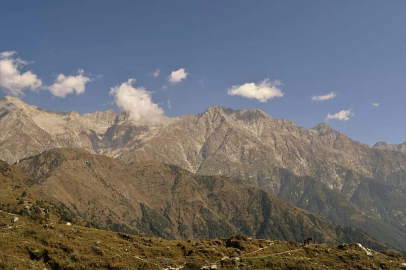 Dharamshala: 5-Day Guided City Tour with Triund Hike - Cultural Heritage in Palampur