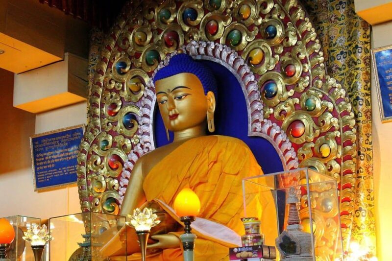 Dharamshala Full Day Tour - The Transportation and Timing