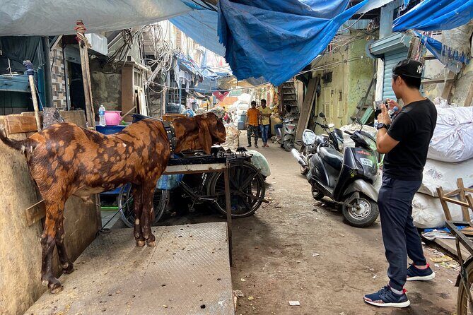 Dharavi Slum Tour in Mumbai with Combo Packages & Transfers - Who Will Get the Most from This Tour?