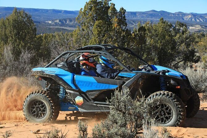 Diana's Throne UTV Adventure Near Zion National Park - An In-Depth Look at Diana’s Throne UTV Adventure