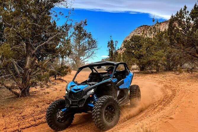 Diana's Throne UTV Adventure Near Zion National Park - Practical considerations