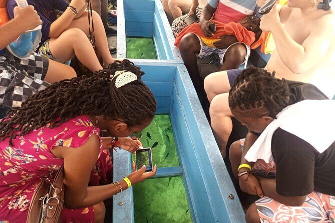 Diani Beach: Glass-bottom Boat Ride with Underwater Show - Key Points