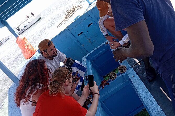 Diani Beach: Glass-bottom Boat Ride with Underwater Show - What You Can Expect from the Diani Glass-bottom Boat Tour