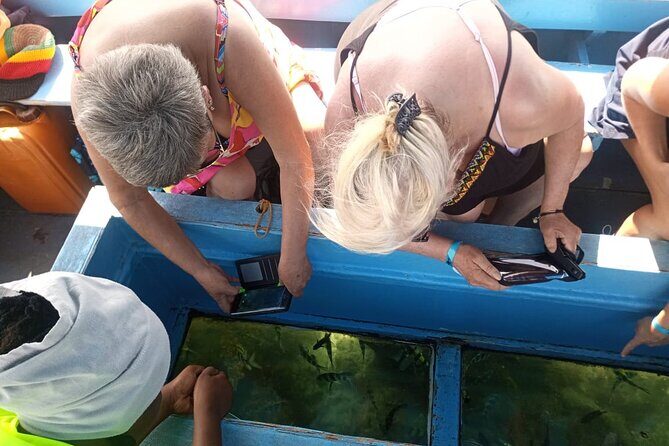 Diani Beach: Glass-bottom Boat Ride with Underwater Show - What Reviewers Say