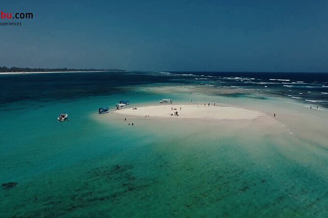 Diani Beach: Glass-bottom Boat Ride with Underwater Show - Who Will Love This Tour?