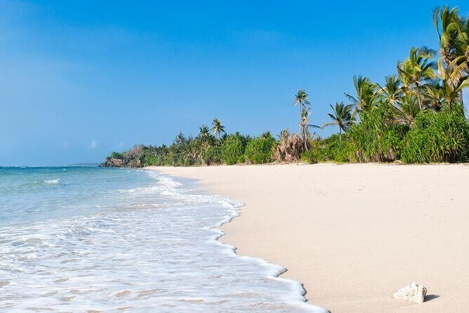 Diani Beach: Glass-bottom Boat Ride with Underwater Show - FAQ