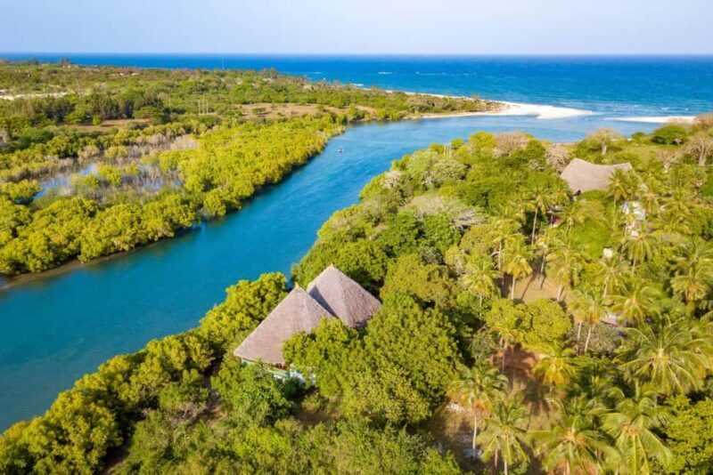 Diani Beach: Sunset Dhow Cruise with Dinner - A Relaxing Voyage on the Mwachema River