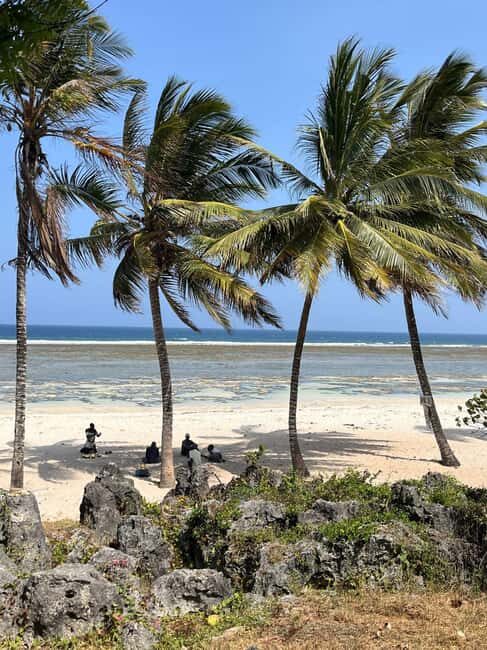 Diani: Full day Guided tour in Tiwi beach & Diani - Key Points