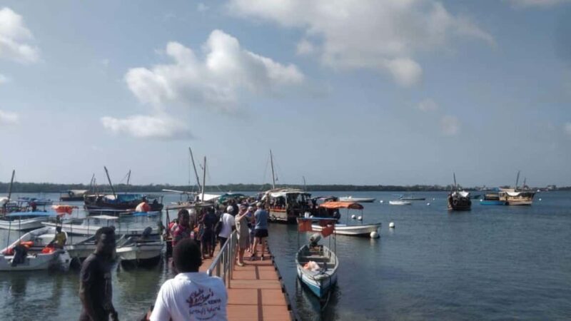 Diani: Kisite Mpunguti Marine Park with Lunch - An In-Depth Look at the Kisite Mpunguti Marine Park Tour