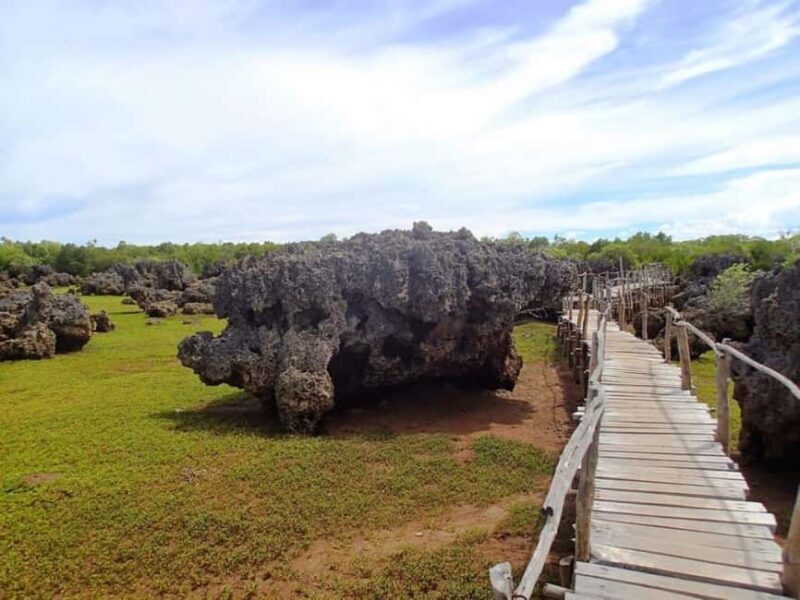 Diani: Kisite Mpunguti Marine Park with Lunch - Who Will Love This Experience?