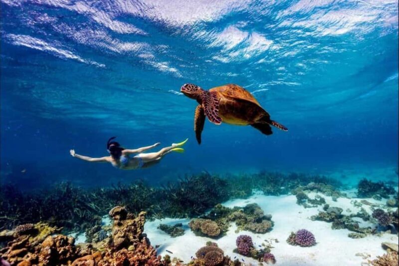 Diani: Kisite Private Boat Tour with Snorkeling and Lunch - Key Points