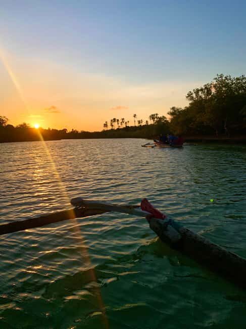 Diani: Sunset Canoe Tour along the River with Mangroves - The Sum Up