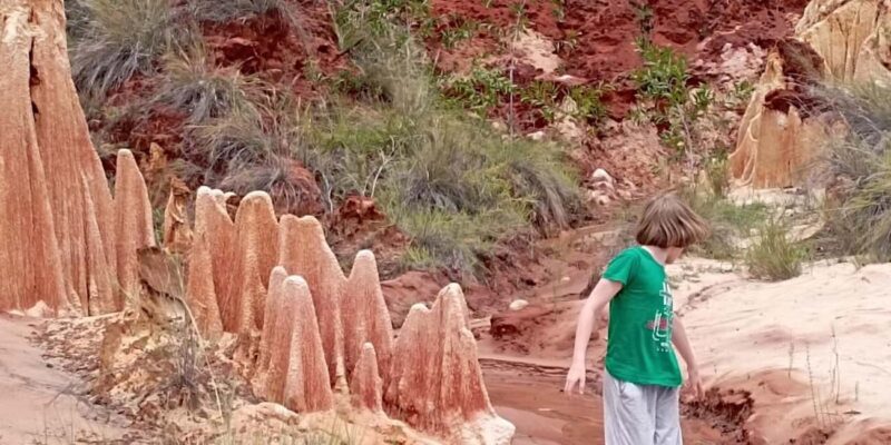 Diego Suarez (Antsiranana): Red Tsingy Half-Day Tour - What the Tour Looks Like: A Practical Breakdown