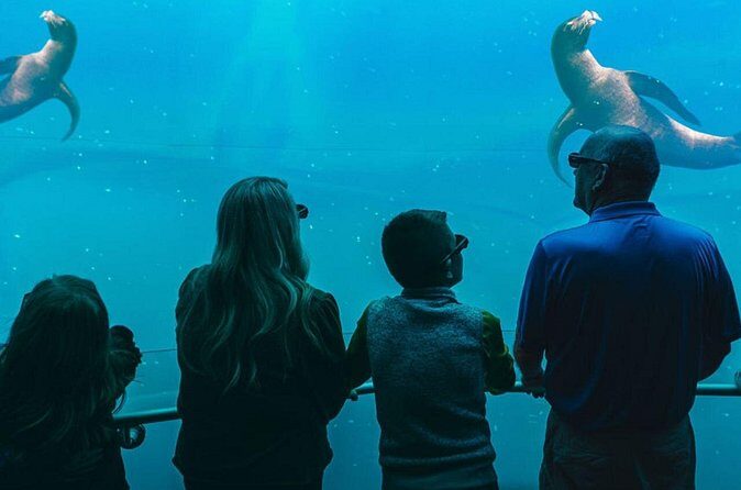 Digital Ocean Adventure in Sevierville - Final Words