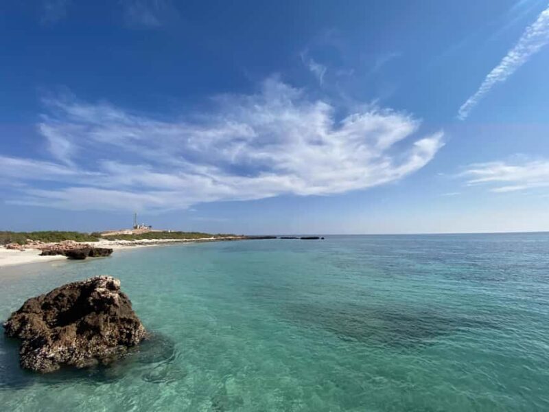 Dimaniyat Island: 5-Hour Snorkeling Adventure - Key Points