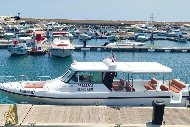 Dimaniyat Island Tour with Snorkeling - Practical Details: What You Need to Know