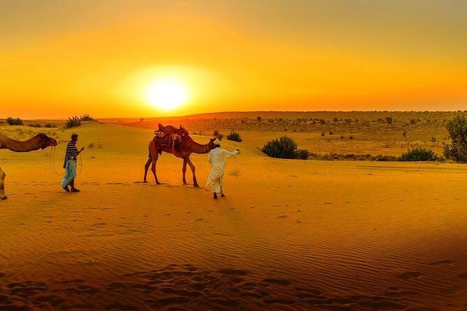 Dinner at Sunset & Camel ride in Marrakech desert Agafa - Practical Tips for Travelers