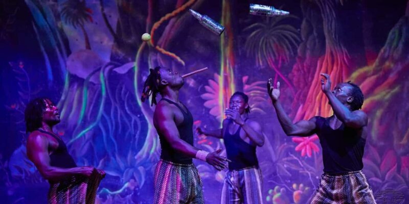 Dinner at the Safari Park Hotel and experiencing cat dance - Key Points