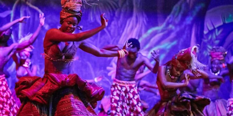 Dinner at the Safari Park Hotel and experiencing cat dance - Considerations for Travelers